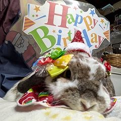 25位のイメージ