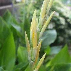 125位のイメージ