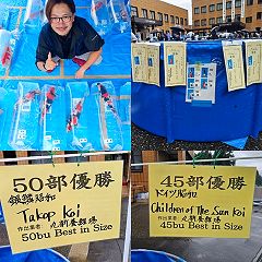 17位のイメージ