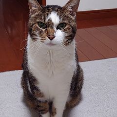 802位のイメージ