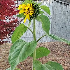 45位のイメージ