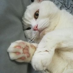 41位のイメージ