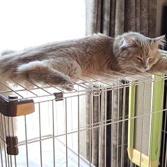 25位のイメージ