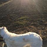 77位のイメージ