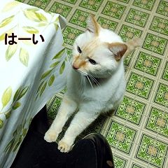 145位のイメージ