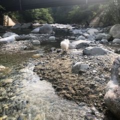 40位のイメージ