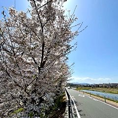 98位のイメージ