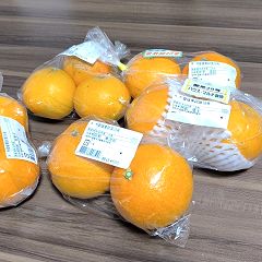 11位のイメージ