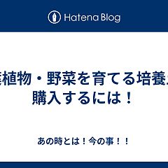 113位のイメージ