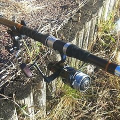 29位のイメージ