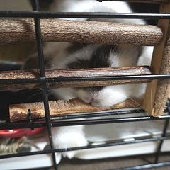 156位のイメージ