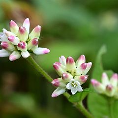 16位のイメージ