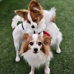 20位のイメージ