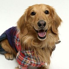 382位のイメージ