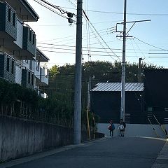 56位のイメージ