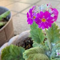 13位のイメージ