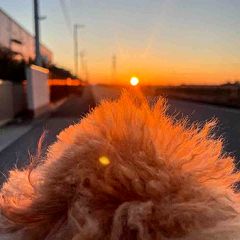 88位のイメージ