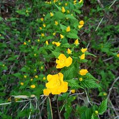 72位のイメージ