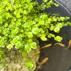 14位のイメージ