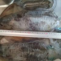 42位のイメージ