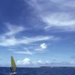 105位のイメージ