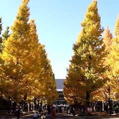 12位のイメージ