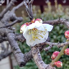 82位のイメージ