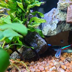 96位のイメージ