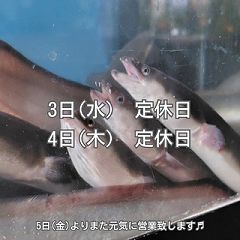 249位のイメージ