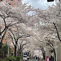 29位のイメージ