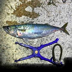 14位のイメージ