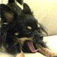 49位のイメージ