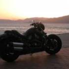 194位のイメージ