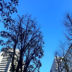 96位のイメージ