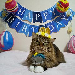 10位のイメージ