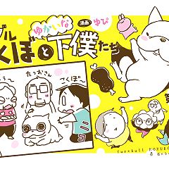 11位のイメージ