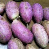 150位のイメージ