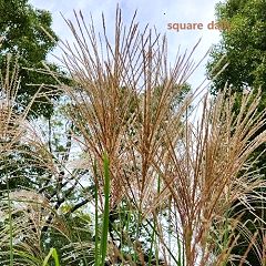 10位のイメージ