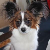 12位のイメージ