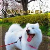 878位のイメージ