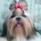 26位のイメージ