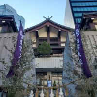 339位のイメージ