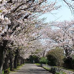 16位のイメージ