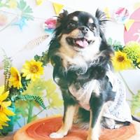 95位のイメージ