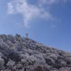 1321位のイメージ