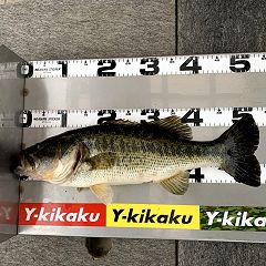 10位のイメージ