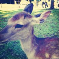 246位のイメージ