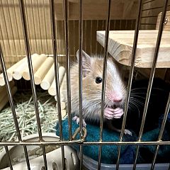 71位のイメージ