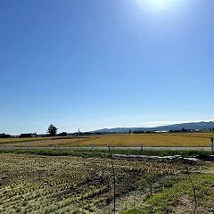 12位のイメージ