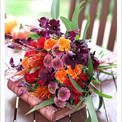 67位のイメージ